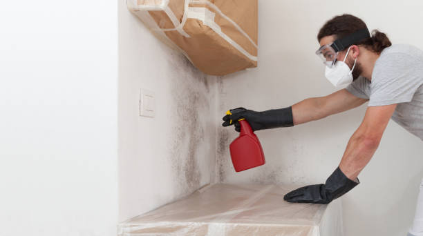 Professional Crawl Space Mold Remediation technician working in Greenvale, NY